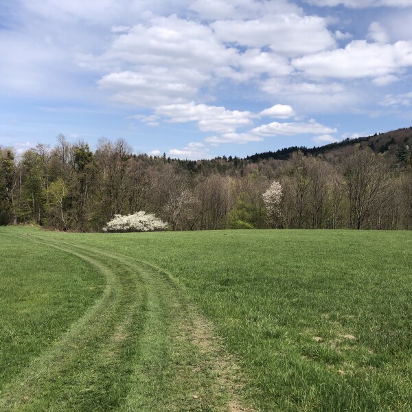 Rodinný statek Lubno -  Frýdlant nad Ostravicí